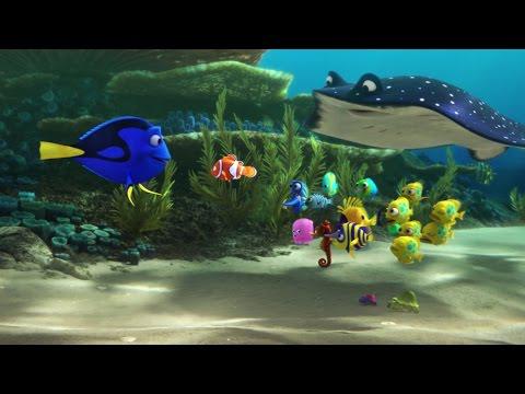 Finding Dory